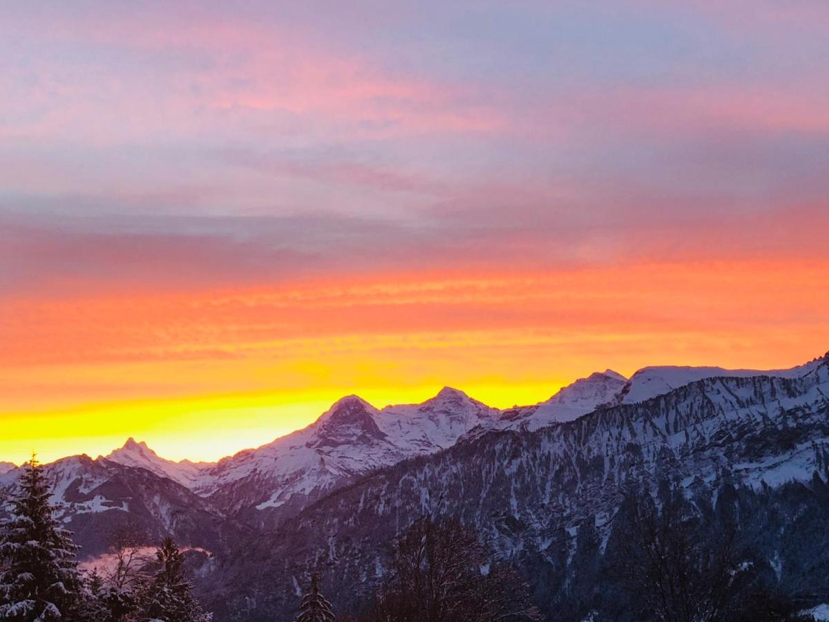 Wohnung Mit See Und Bergsicht Im Vier Sterne Hotel Beatenberg Bagian luar foto